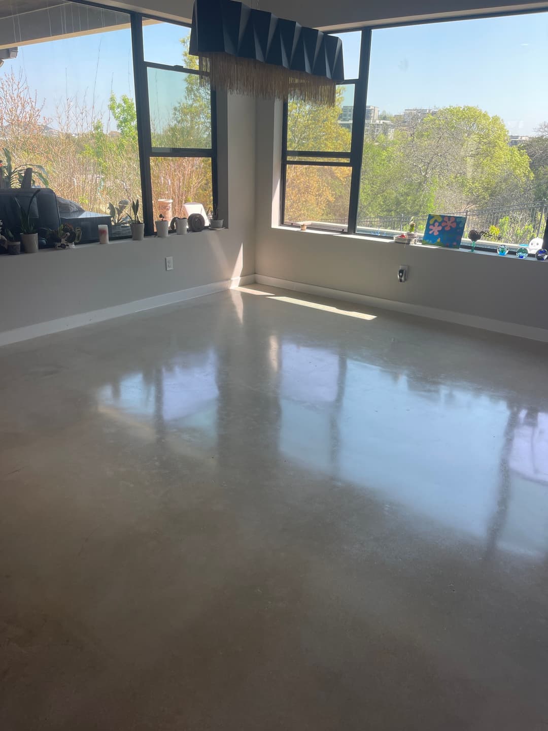 Bright, open room with large windows, plants, and polished concrete floor. Natural light illuminating space.