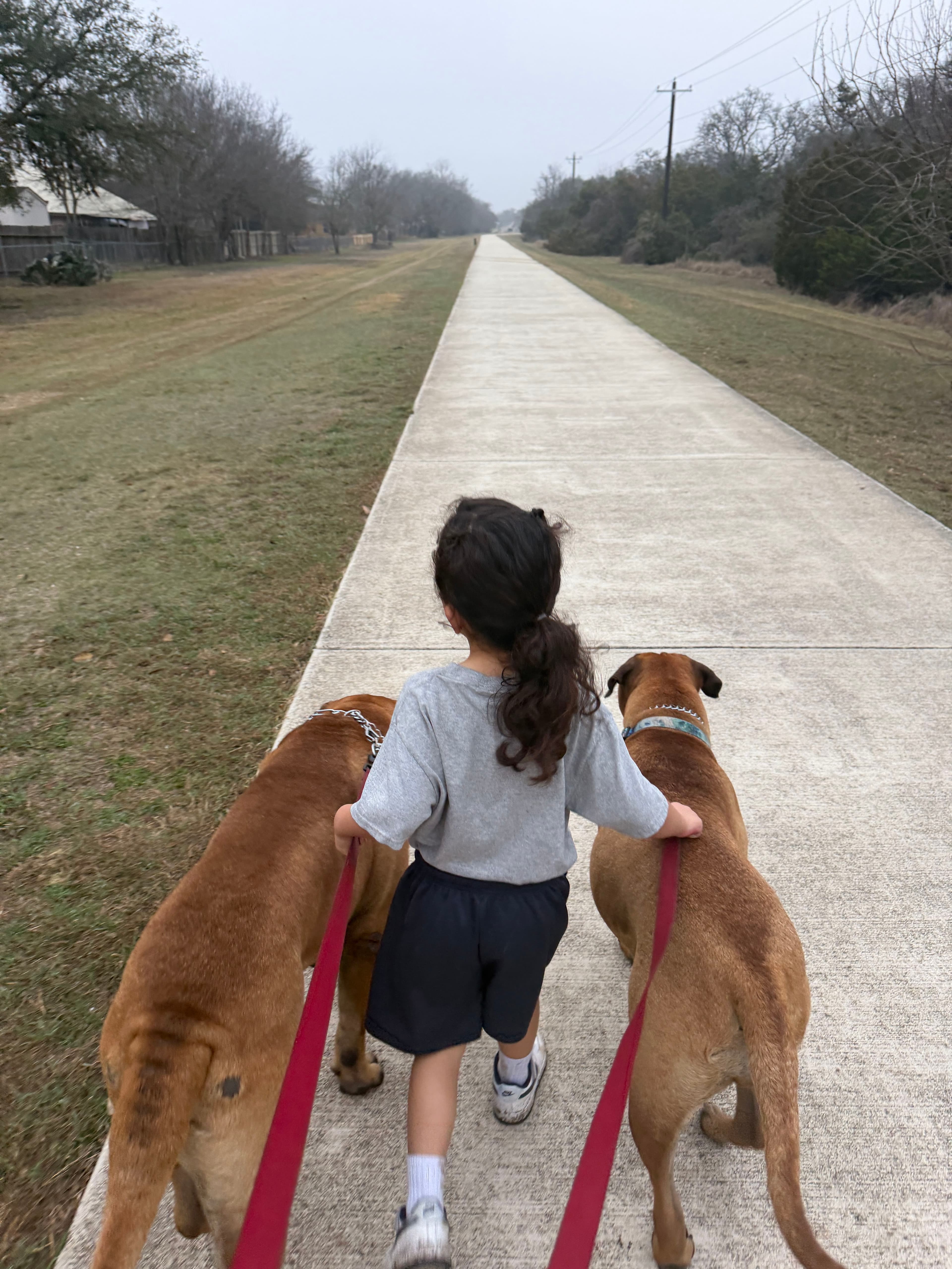 Project Everyday Adventures Made Easier with Surface Solutions image