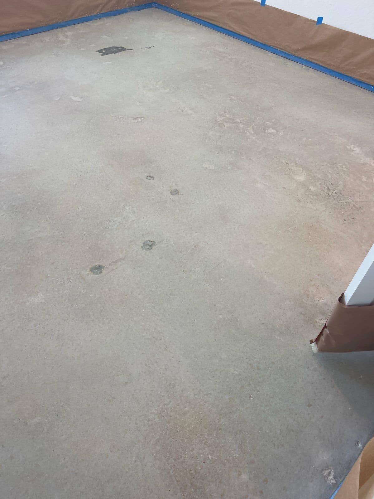 Upgrade Your Floors with Dog-Friendly Stained Concrete image
