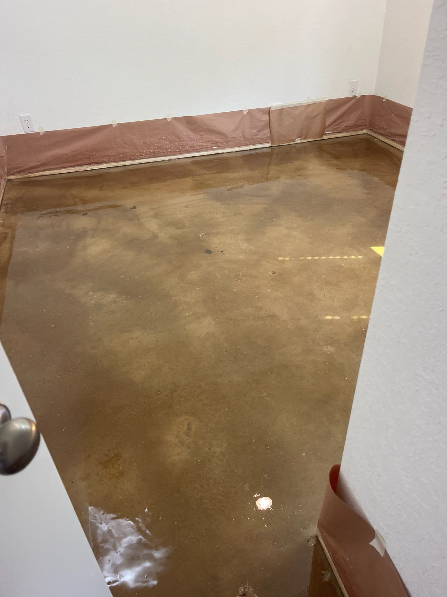 Gallery photos for Upgrade Your Floors with Dog-Friendly Stained Concrete: Image #1