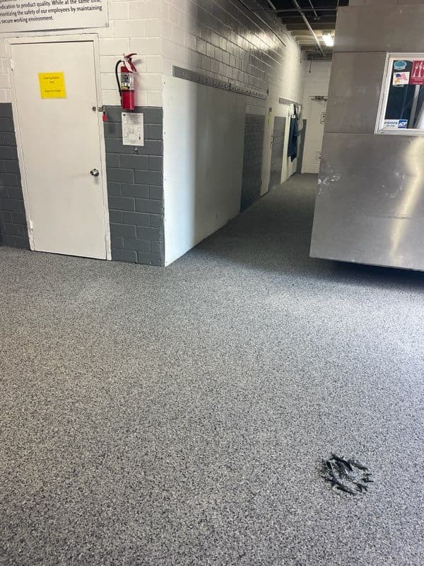 Industrial Revamp with Nightfall Flake Flooring