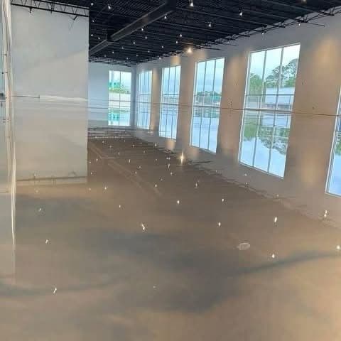 Gallery photos for Flawless Pet-Friendly Metallic Epoxy Flooring: Image #3