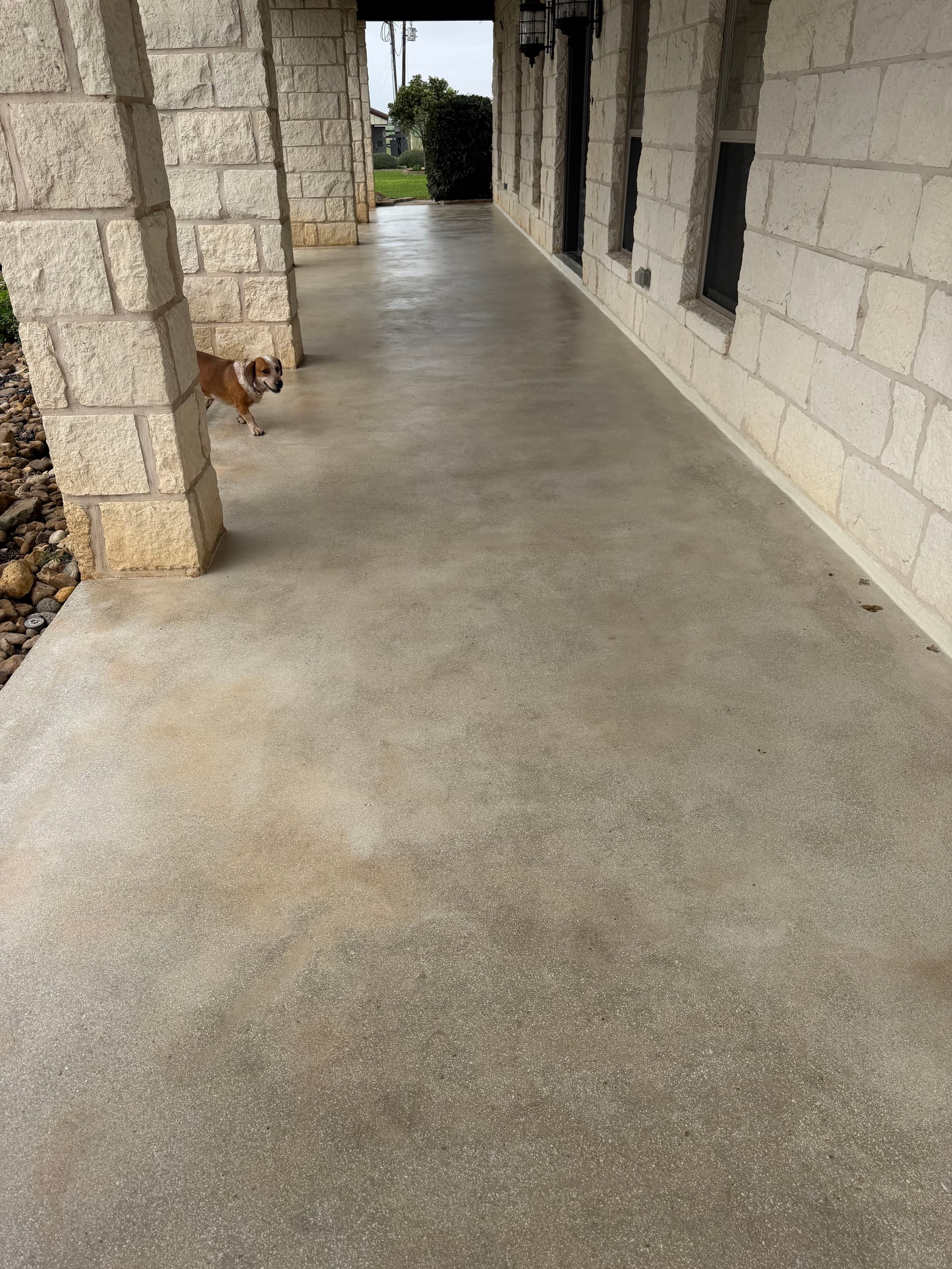 Gallery photos for Driveway Grind and Seal: Image #1