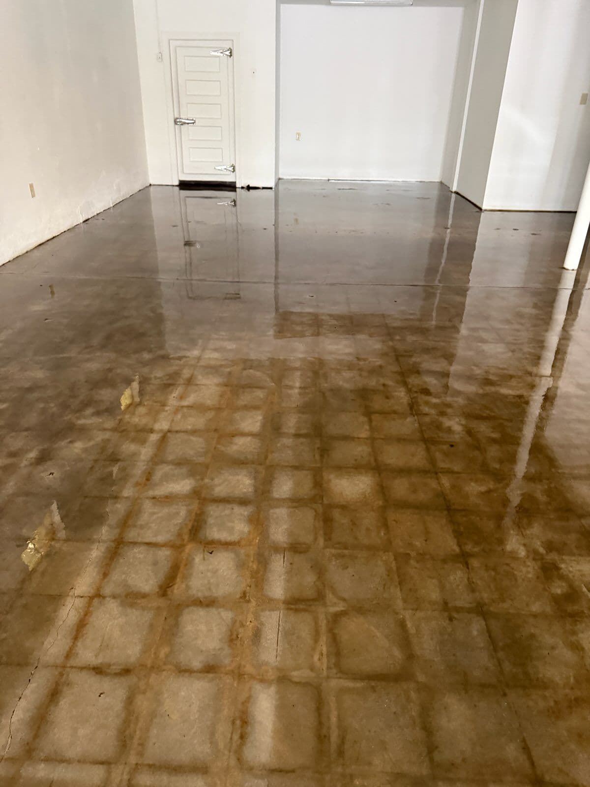 Gallery photos for Shiny Grind and Clear Service for Commercial Floors: Image #2