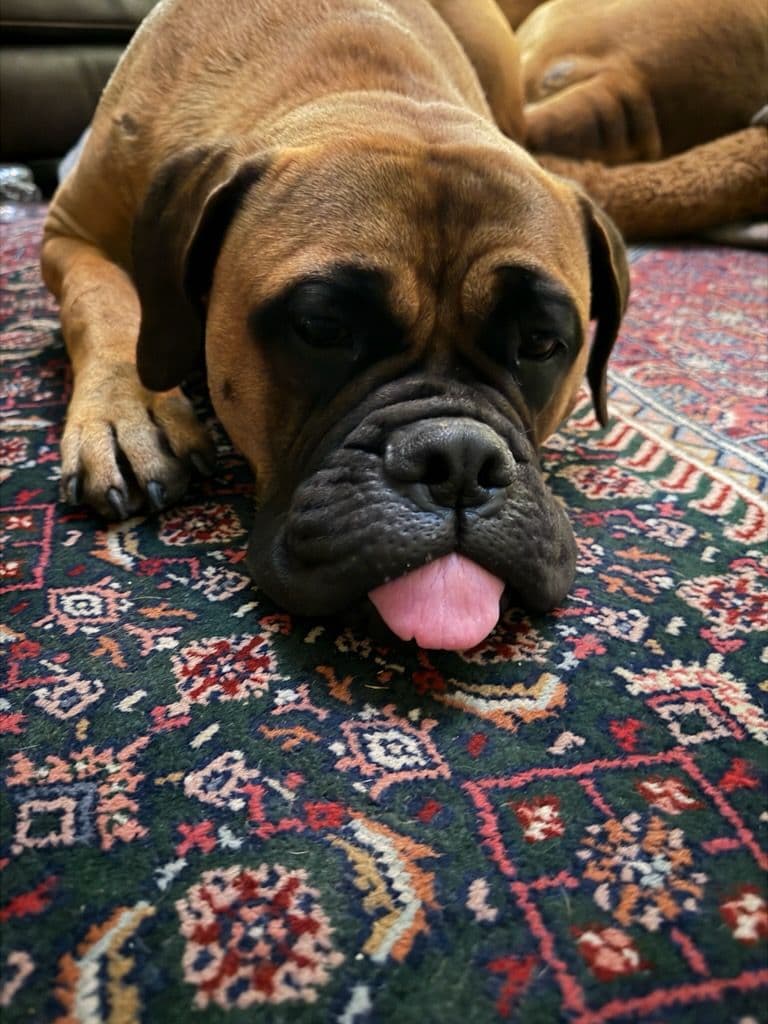 Gallery photos for Polished Concrete Floors Enhance Modern Spaces: Image #2