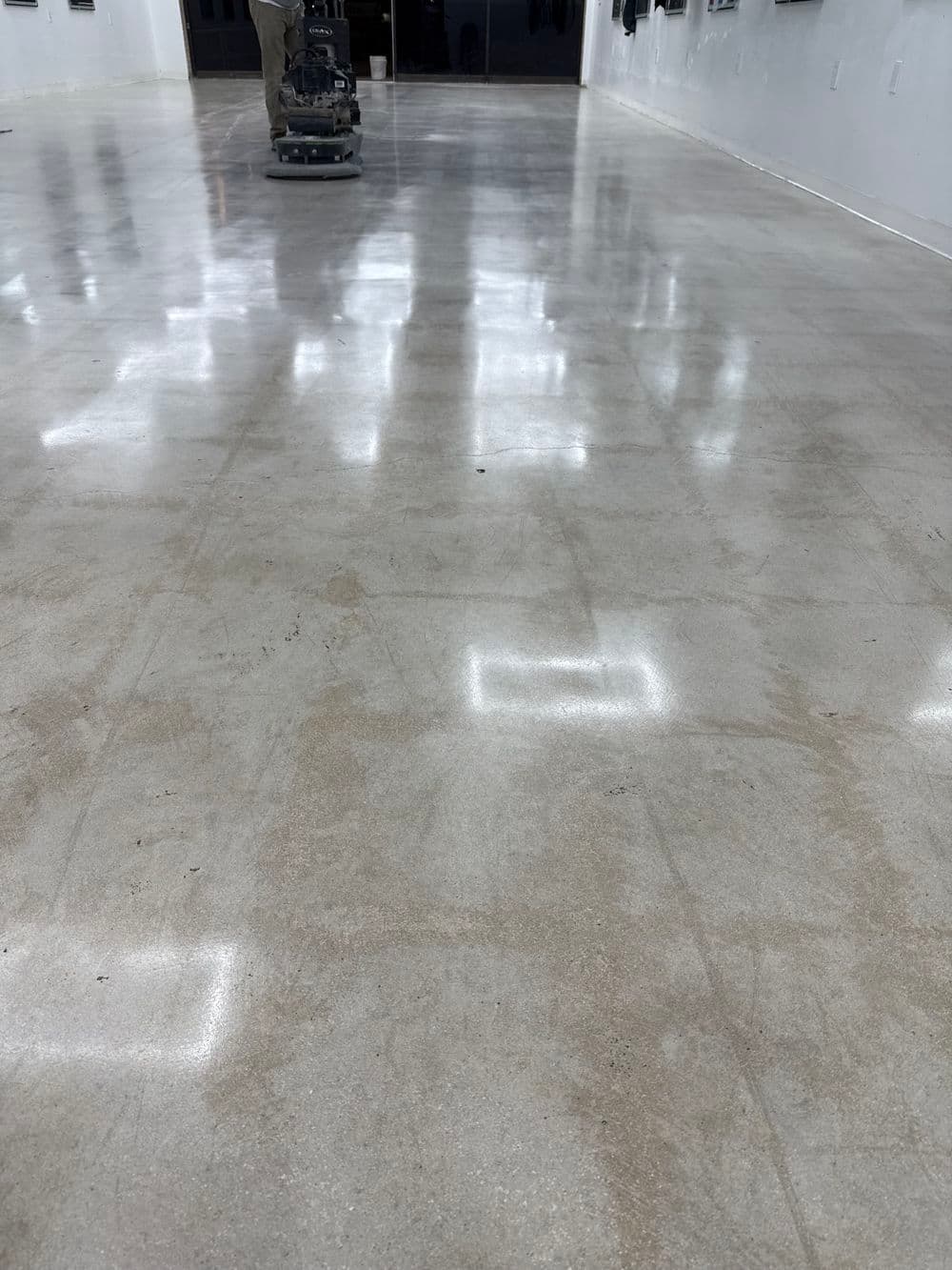 Polished concrete floor with a worker using a floor buffer in an art gallery setting.